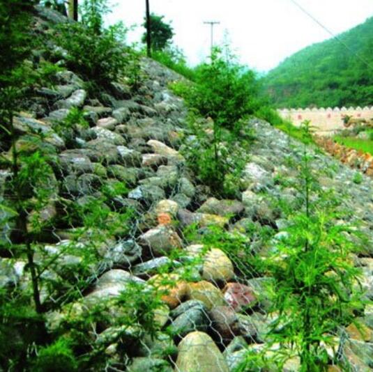 生態護坡網石籠墊